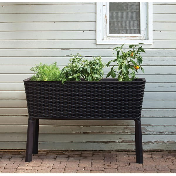 Tegla za cvijeće Easy Grow – Keter-image-1