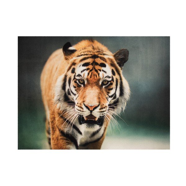 Tepih Hanse Home Tiger, 190 x 140 cm
