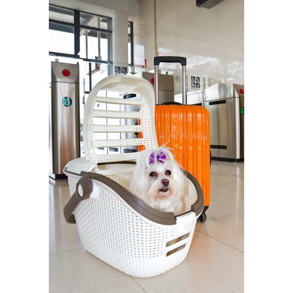 Bijela transportna kutija za životinje Curver Vintage-image-1