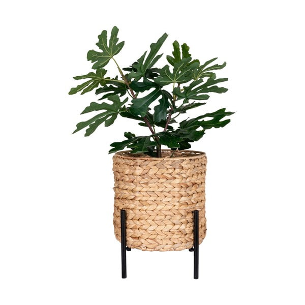 Posuda za cvijeće od vodenog zumbula ø 26,5 cm Antas – House Nordic-image-2