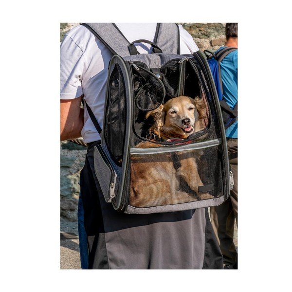 Transporter za kućne ljubimce 27x33 cm – Love Story-image-1