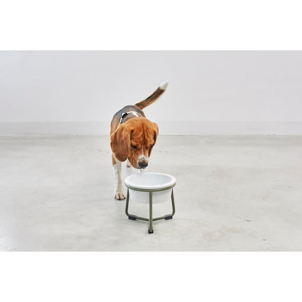 Porculanska posuda s postoljem za pse ø 20 cm Pranzo Grolive M – MiaCara-image-2