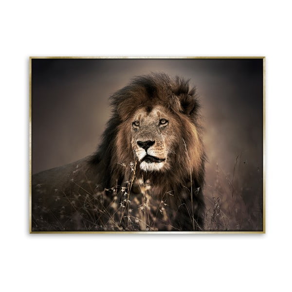 Slika lava na platnu Styler Zlatni lav, 62 x 82 cm