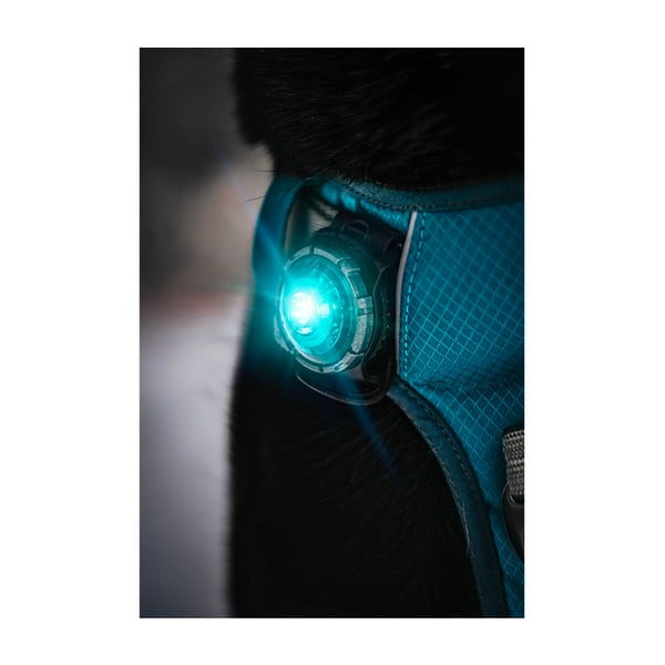 LED svjetlo za ovratnik Turquoise - Orbiloc-image-3