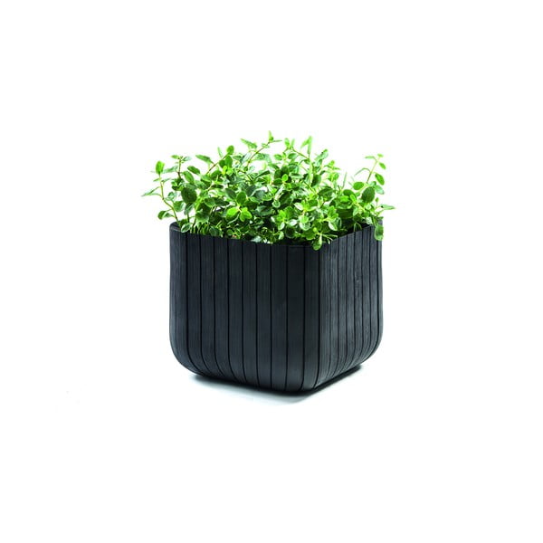 Plastična posuda za cvijeće Cube – Keter-image-2