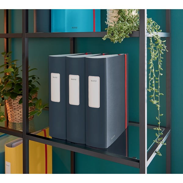 Sivi fascikl Leitz Cosy, A4-image-3