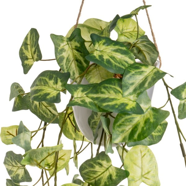 Umjetne biljke u setu 2 kom (visina 55 cm) – Casa Selección-image-3