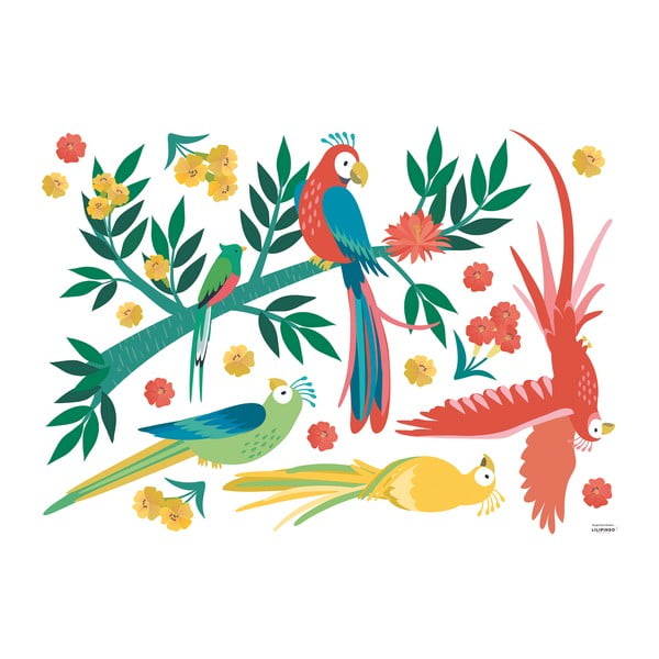 Naljepnice 90x64 cm Parrots – Lilipinso