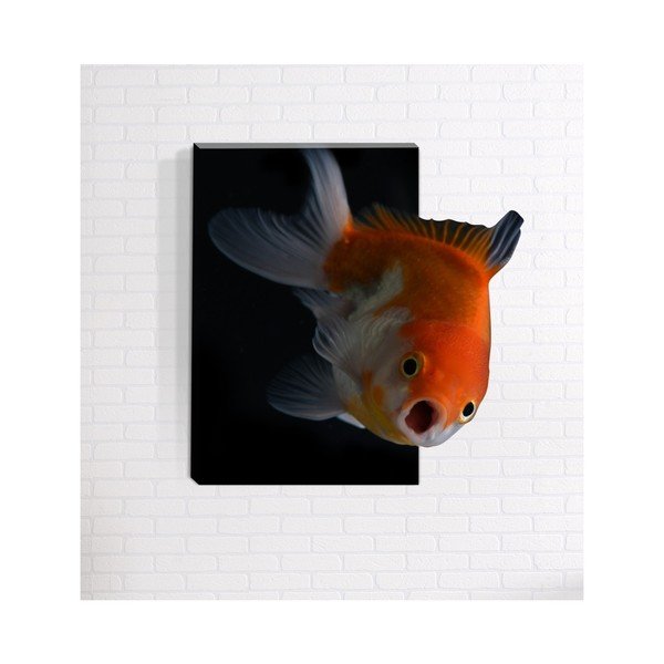 Zidna 3D slika Mosticx Nemo, 40 x 60 cm