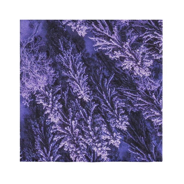 Ljubičasti tepih Oyo home Suzzo Flower, 140 x 220 cm-image-3