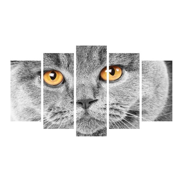 Višedijelna slika Insigne Cat Eyes, 102 x 60 cm