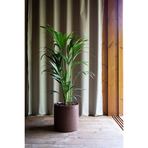 Keramička ručno rađena ukrasna tegla za cvijeće ø 18 cm Fortuna – Artevasi-image-3