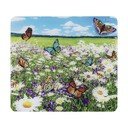 Zidna zaštitna ploča za štednjak od kaljenog stakla 50x56 cm – Maximex
