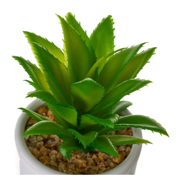 Umjetne biljke u setu 4 kom Cactus – Casa Selección-image-3