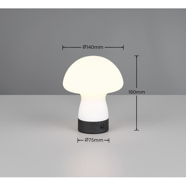 Mat bijela LED stolna lampa sa staklenim sjenilom (visina 18 cm) Dooley – Reality-image-4