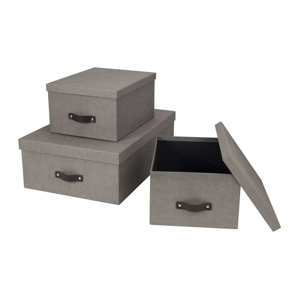 Kutije za pohranu u setu  3 kom s poklopcem Inge – Bigso Box of Sweden-image-3