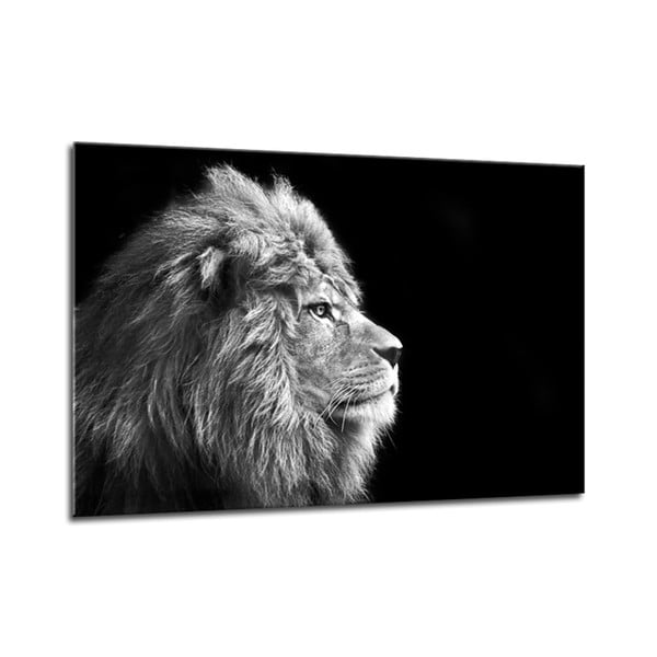 Slika Styler Glasspik Canvas Animals Lav, 70 x 100 cm