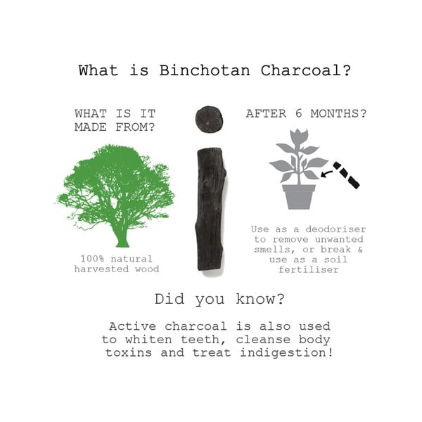 Filter za vodu od Binchotan ugljena Black + Blum Eau Good, 1 kom-image-1