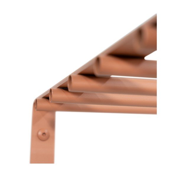 Metalna zidna vješalica u boji lososa s policom 100 cm Rex – Spinder Design-image-3