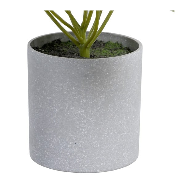 Umjetna biljka (visina 21 cm) Syngonium – Ixia-image-1