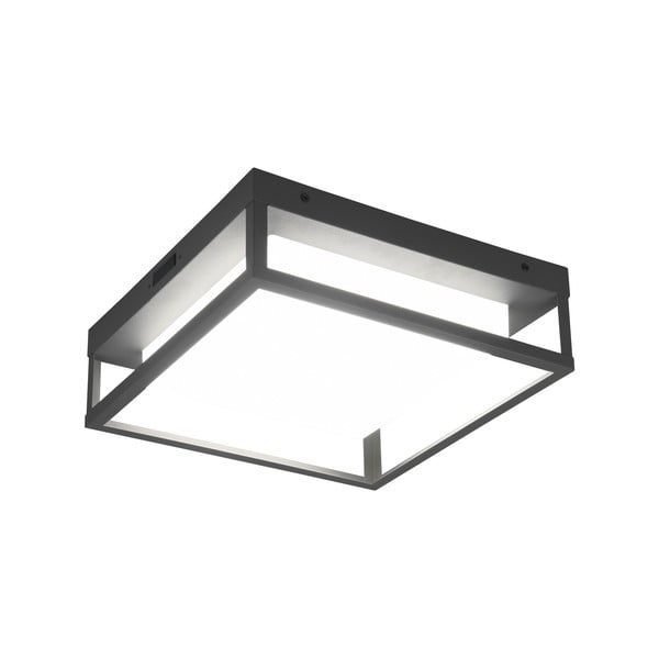 LED vanjska zidna lampa (visina 10 cm) Witham - Trio