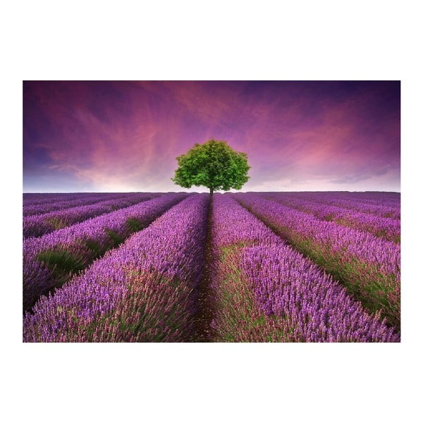 Lavender Field vinil prostirka, 52 x 75 cm