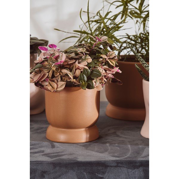 Smeđa keramička tegla Bahne & CO, ø 14 cm-image-2