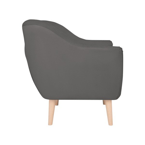 Siva fotelja Micadoni Home Vincente-image-4