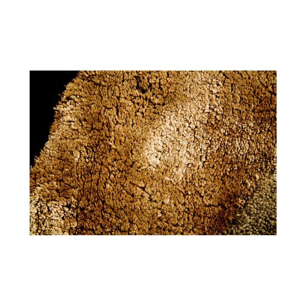 Flair Rugs Botanical Saria, 90 x 150 cm-image-4