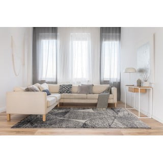 Sivi tepih 160x230 cm Lush – FD