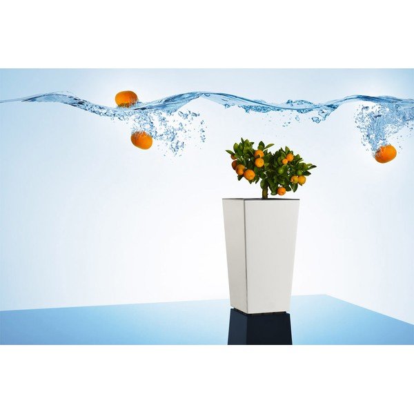 Plastična posuda za cvijeće Elise – Gardenico-image-4