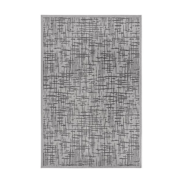 Sivi vanjski tepih 76x150 cm Clyde Telu – Hanse Home