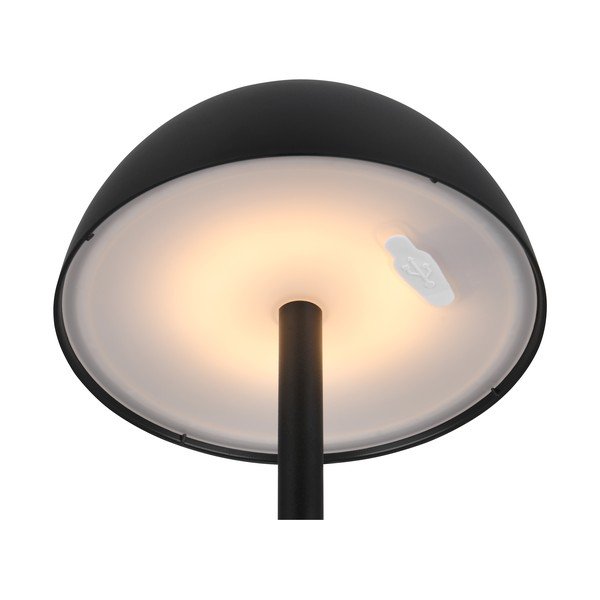 Vanjska svjetiljka s mogućnosti zatamnjivanja ø 13,5 cm Ricardo – Reality-image-3