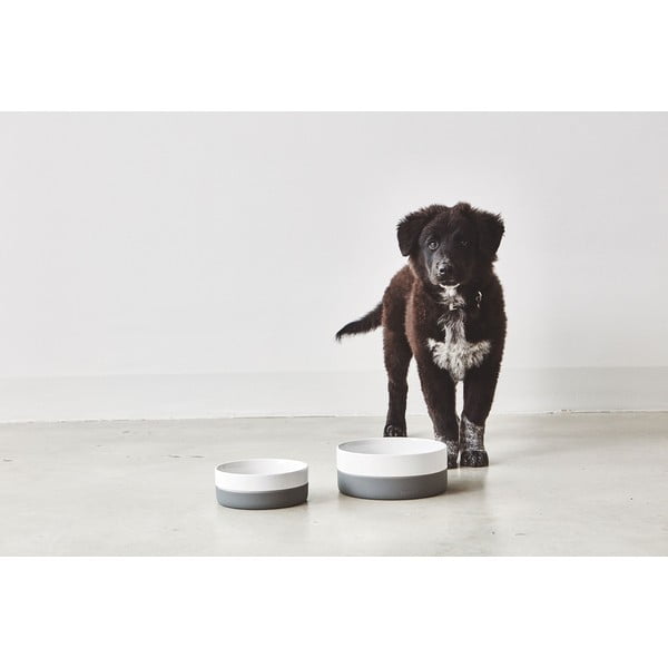 Porculanska zdjela za hranu za ljubimce za pse ø 21,5 cm Coppa Slate M/L – MiaCara-image-1