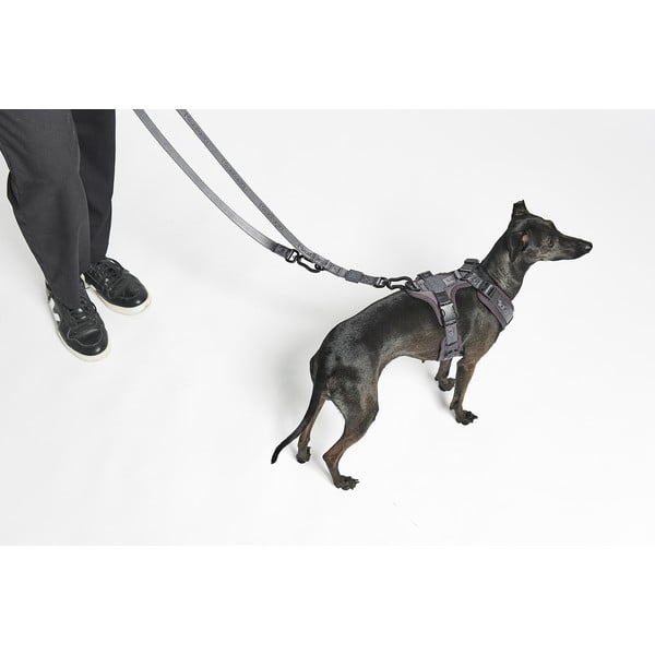 Bež preklopni povodac dužina 200 cm Modena Greige 20 mm – MiaCara-image-1