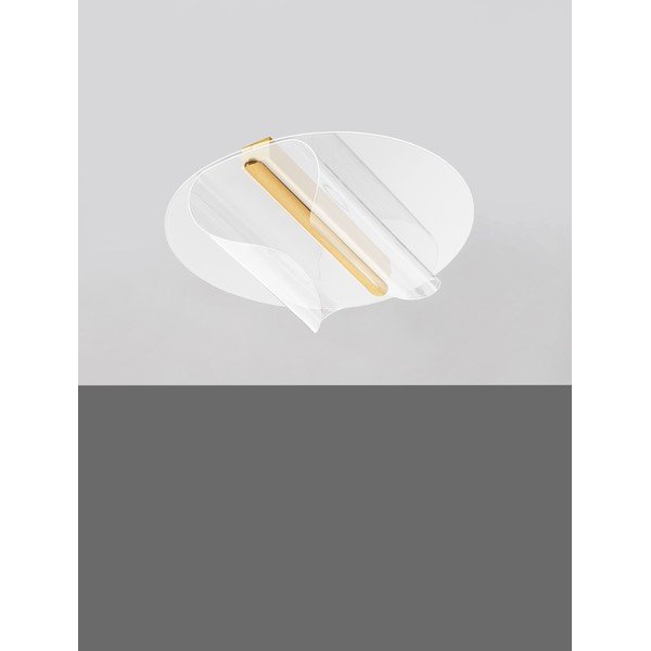 LED stropna svjetiljka aluminijska s mogućnosti zatamnjivanja u zlatnoj boji 55x45 cm Valentin – Nova Luce-image-3