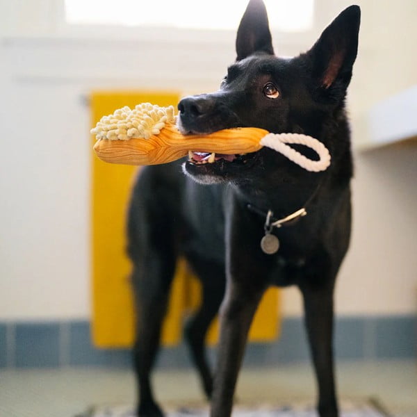 Igračka za psa Brush – P.L.A.Y.-image-1