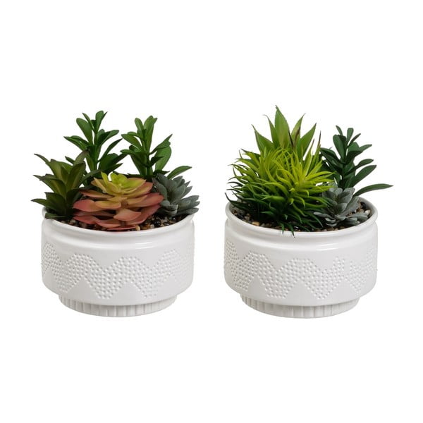Umjetne biljke u setu 2 kom (visina 19 cm) Cactus – Casa Selección