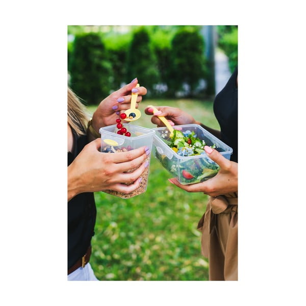 Zelena kutija za međuobrok i obrok s priborom, Vialli Design, 650ml+230m-image-3