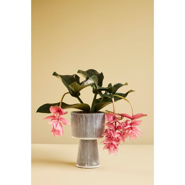 Set od 2 crno-bež keramičke tegle za cvijeće Hübsch Pot-image-4