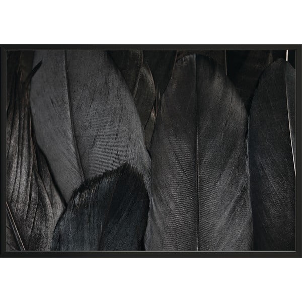Plakat DecoKing Feathers crni, 50 x 40 cm
