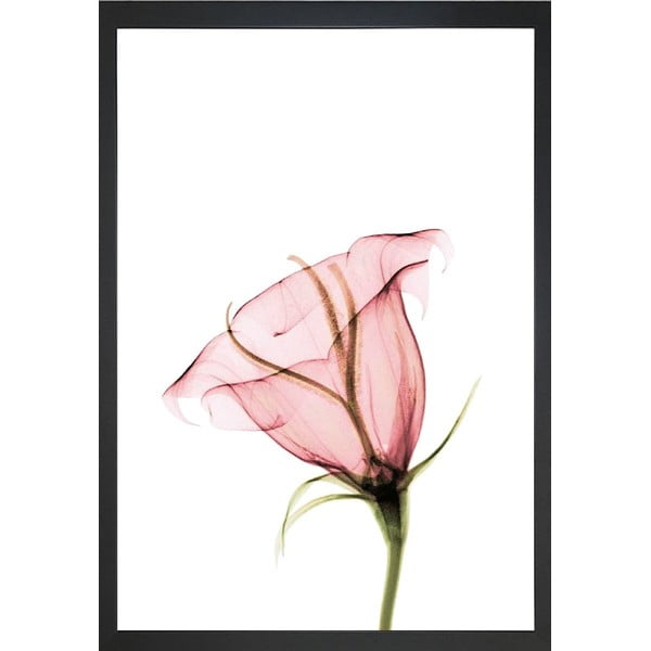 Slika 24x29 cm Misty Bloom – Vavien Artwork