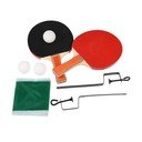 Stolni tenis Wild Bear – Rex London