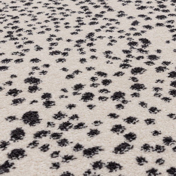 Crno-bijeli tepih 160x230 cm Muse – Asiatic Carpets-image-2