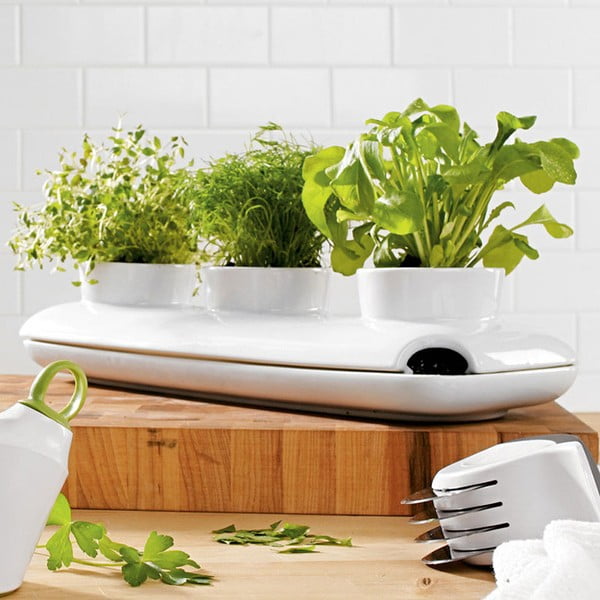 Saksija za cvijeće Sagaform Duo Herb-image-1