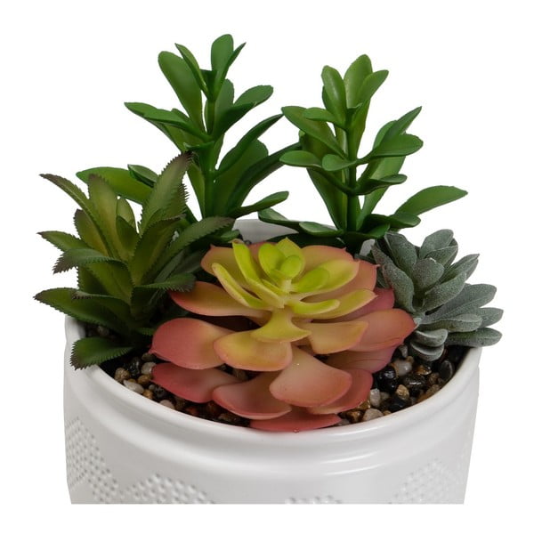 Umjetne biljke u setu 2 kom (visina 19 cm) Cactus – Casa Selección-image-3