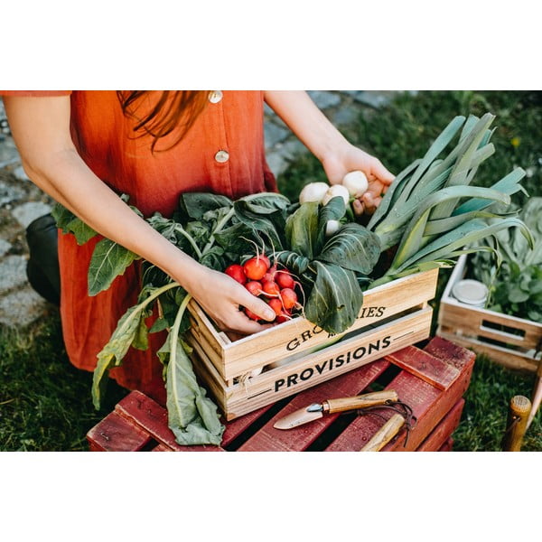 Set vrtlarskog alata od drveta jasena Esschert Design Equal-image-2