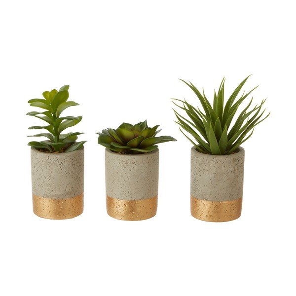 Set od 3 sukulenata i keramičke posude Premier Housewares Fiori-image-1