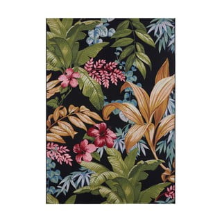 Crni vanjski tepih 120x180 cm Flair – Hanse Home