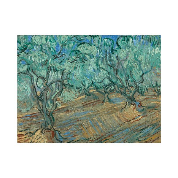 Slika Vincenta van Gogha - Maslinik, 50x30 cm